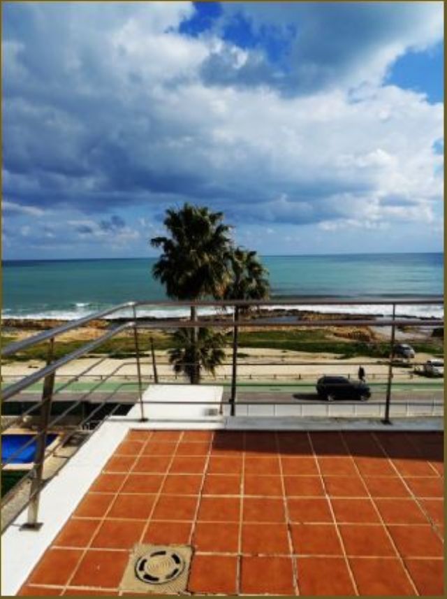 photo_11