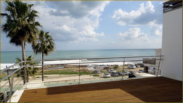 photo_4