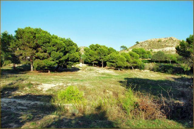 photo_12