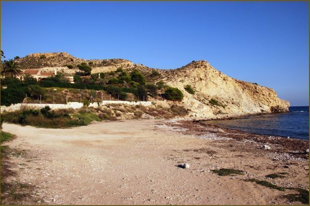 photo_2