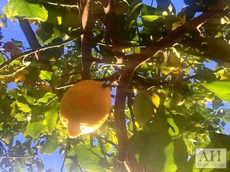 photo_42