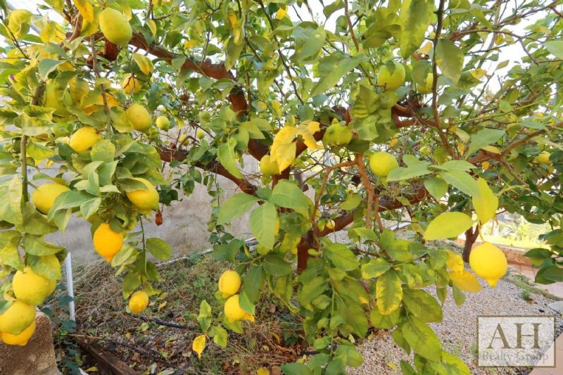 photo_19