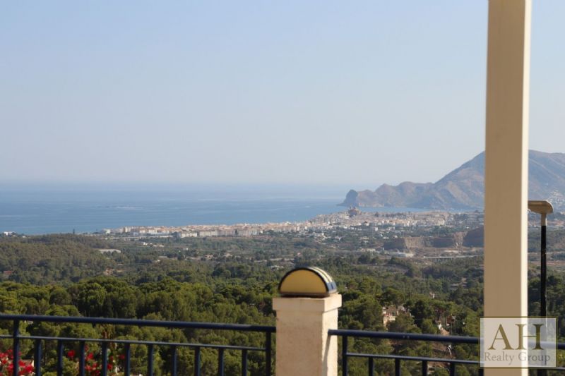 photo_6